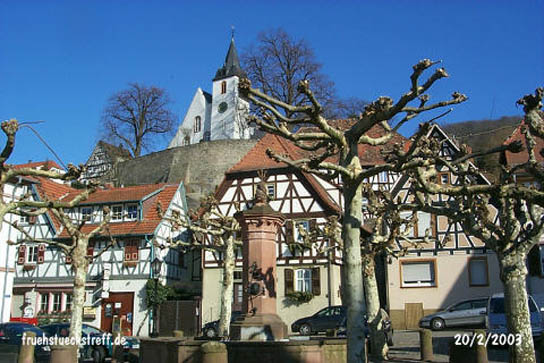 Wanderung vom Altstadt-Marktplatz in Zwingenberg an der Bergstraße zum Fürstenlager